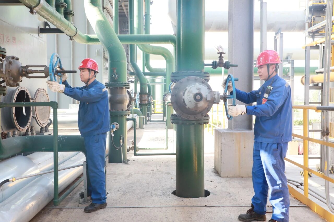 1757576008597197.jpeg 1757576008597197.jpeg