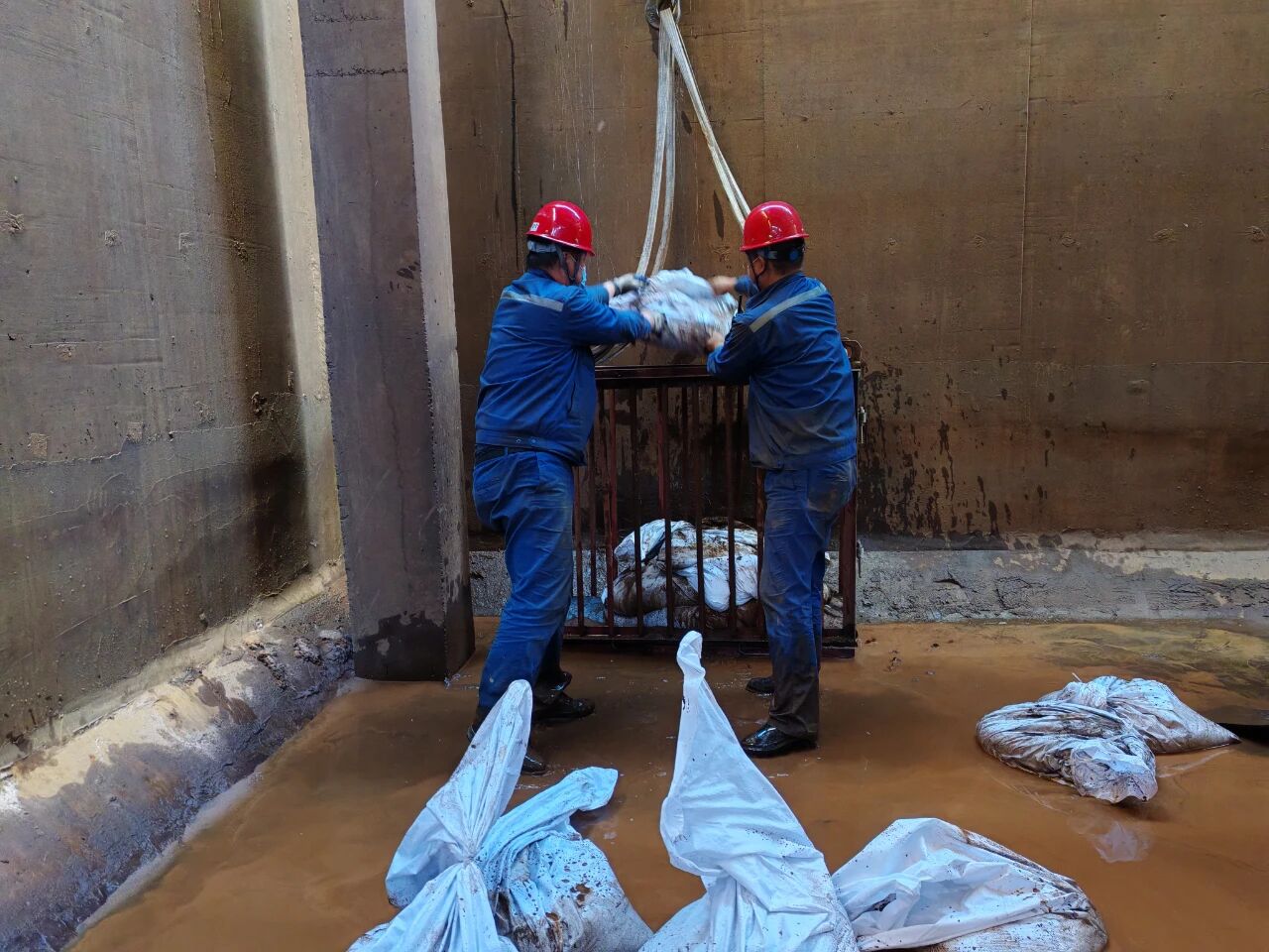 1757897378337622.jpeg 1757897378337622.jpeg