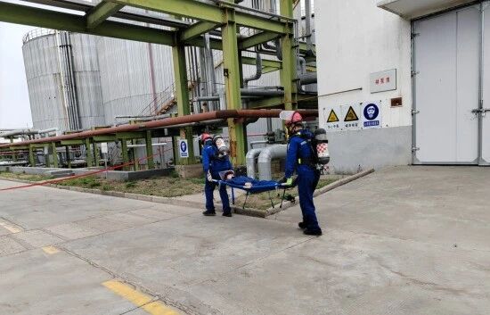 1759109354282565.jpeg 1759109354282565.jpeg